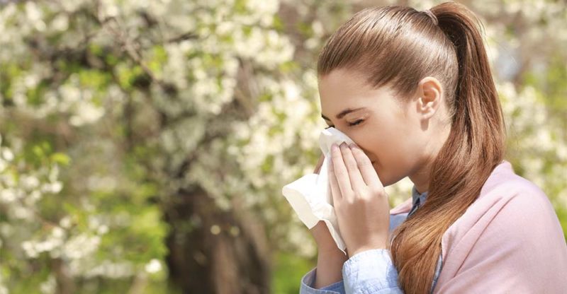 allergie respiratorie scaled allergie respiratorie scaled