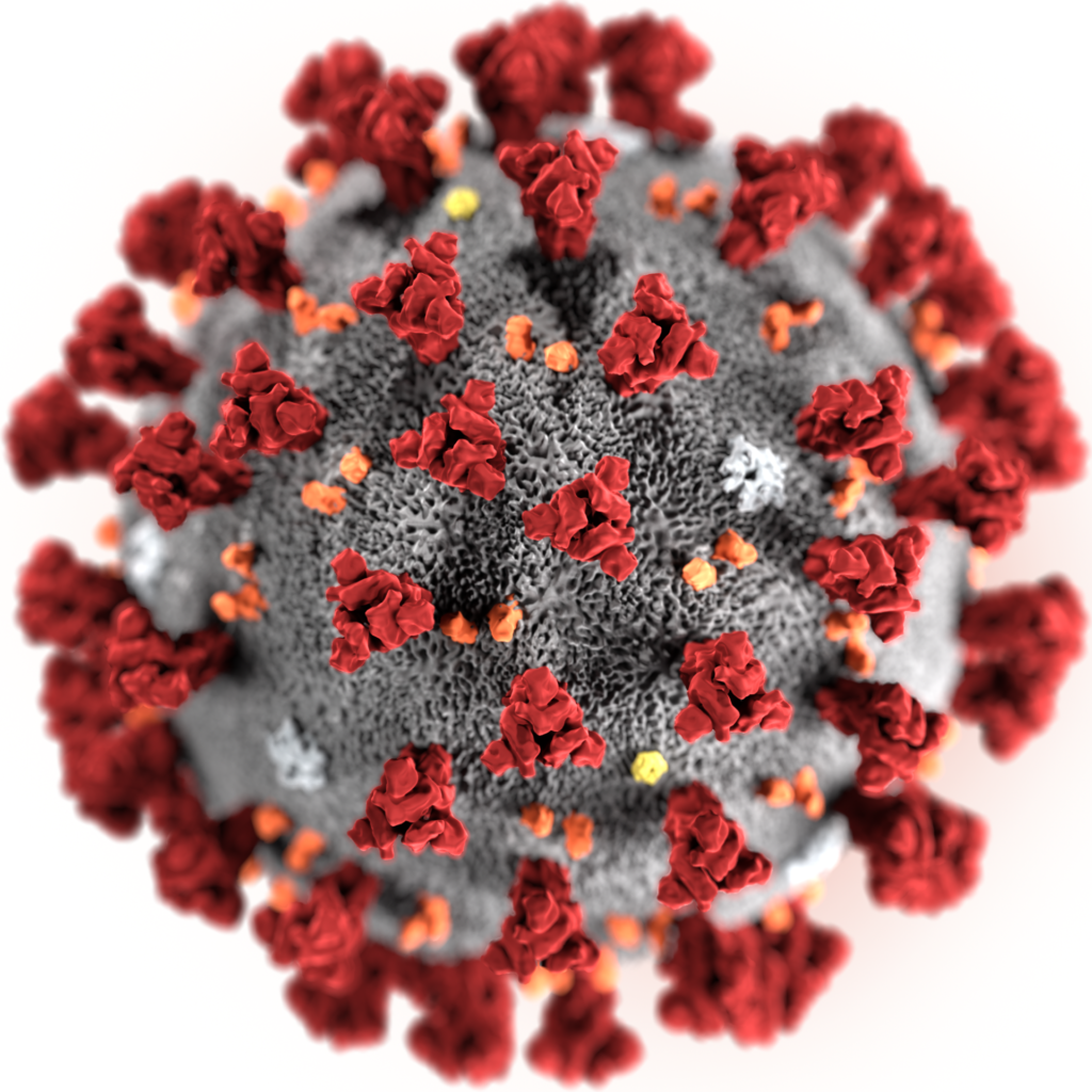 VIRUS 2