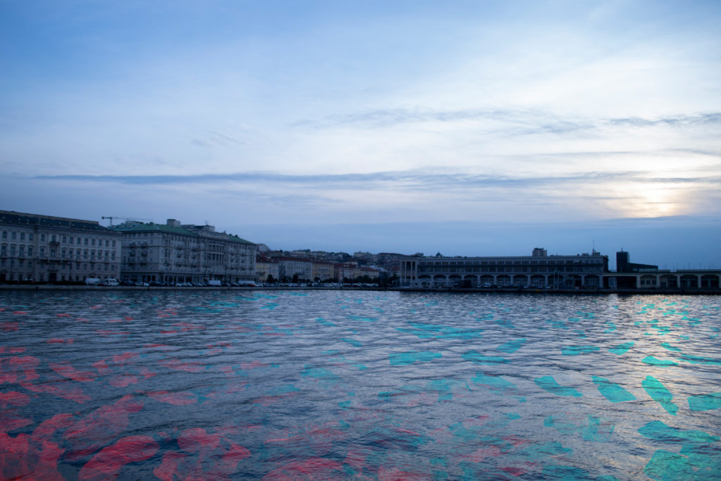 acqua acqua