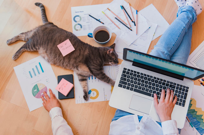 smart working smart working