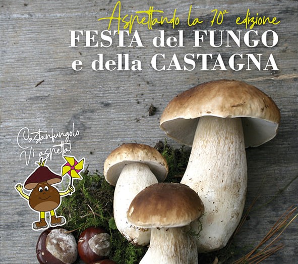 fungo castagna
