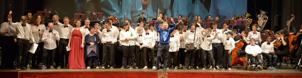 Orchetra Orchetra