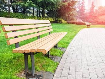 Piu alberi in citta tutti i benefici del verde nei centri urbani