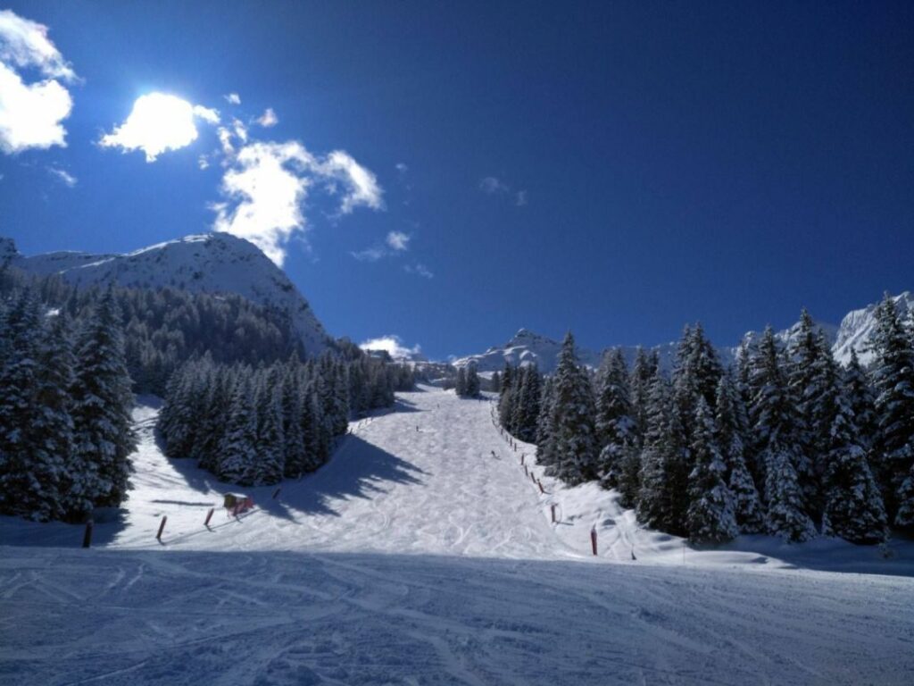 1081 APRICA 1081 APRICA