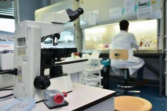 Morbo di Parkinson 4 segnali prima del tremore la ricerca Morbo di Parkinson 4 segnali prima del tremore la ricerca