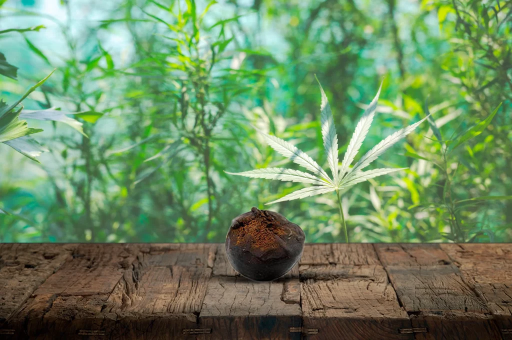 diversi tipi hashish diversi tipi hashish