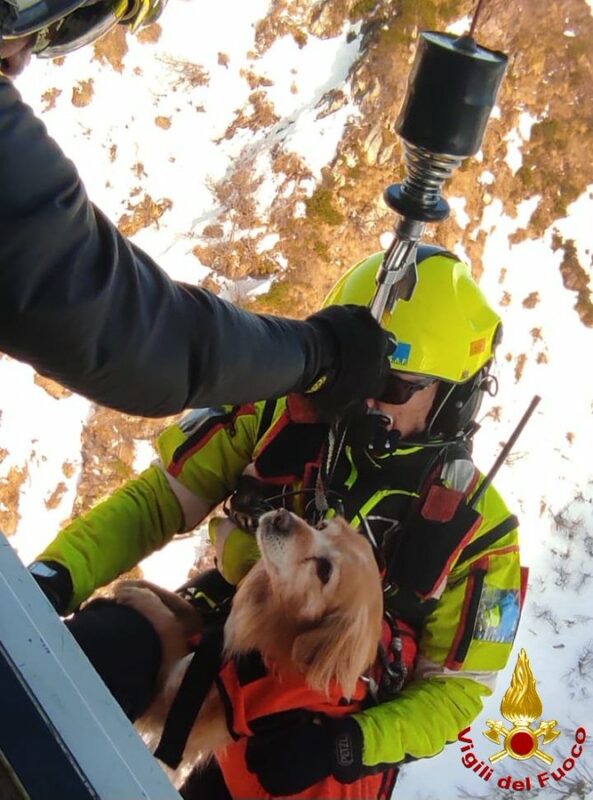 Cane salvato dai Vigili del Fuoco a Monte Campione
