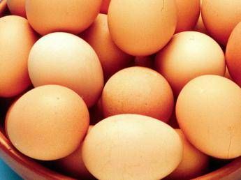 Salmonella alert negli Usa quasi 100 casi e uova ritirate dal mercato Salmonella alert negli Usa quasi 100 casi e uova ritirate dal mercato