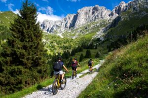 31 marzo - 2 aprile alla Fiera di Bergamo: Fiera dei Territori