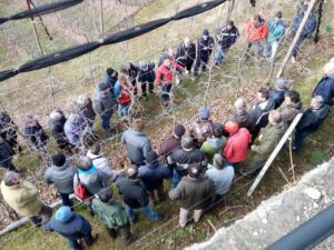 Frutticoltori Val Brembana, a Moio dimostrazioni di innesto