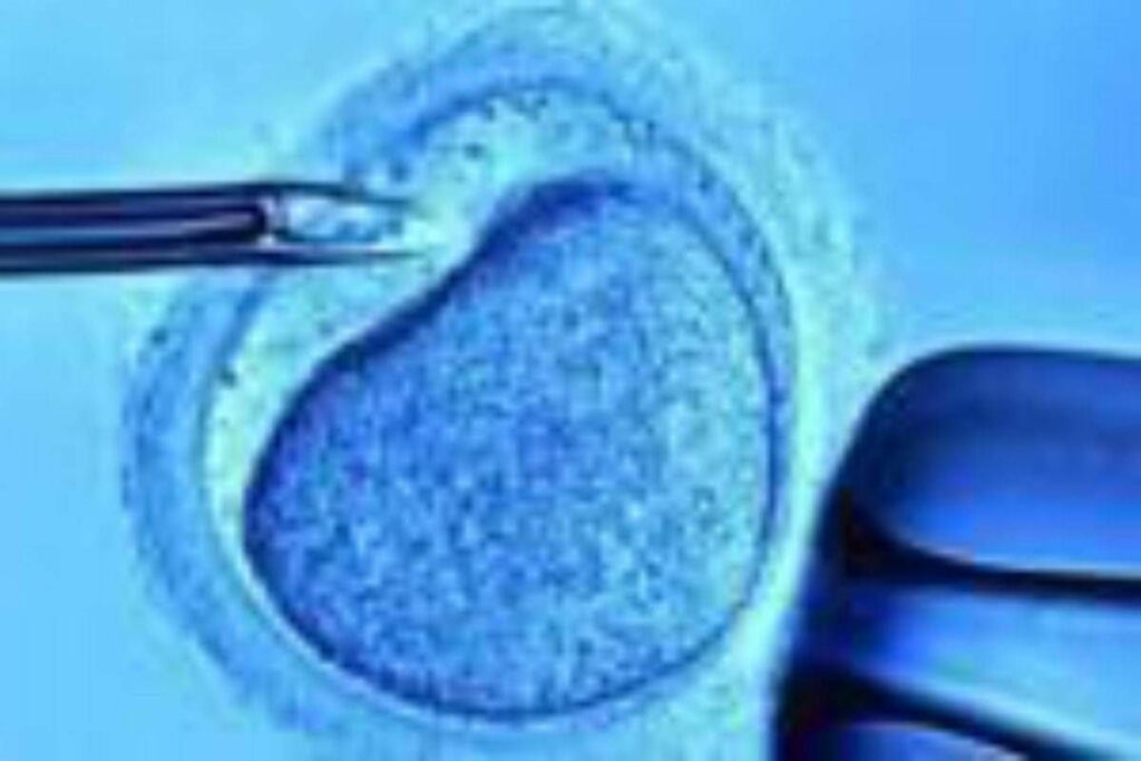 Fecondazione mamme senza bombe ormonali con meno rischi aborto svolta per over 40