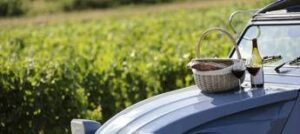 Borgogna nel 2022 fatturato da record Borgogna nel 2022 fatturato da record