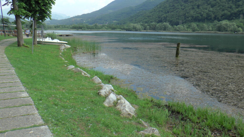 Lago endine Alghe Lago endine Alghe