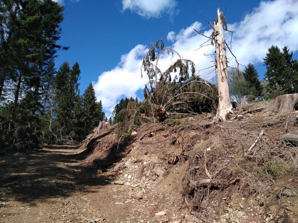 strada torcola STRADA TORCOLA: IL PARCO DELLE OROBIE “RIMODULA” LA SANZIONE AL COMUNE DI MOIO DE’ CALVI