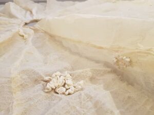 IL WWF AL BACS DI LEFFE
