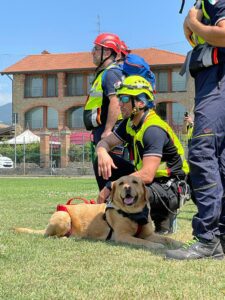 Esercitazione Nazionale delle Unità Cinofile: un test cruciale per la Protezione Civile Italiana