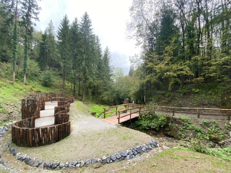 Bosco Dossena 1 scaled Raggiunto e superato l'obiettivo della raccolta fondi per riqualificare il bosco