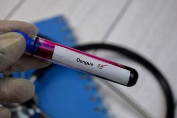 Dengue salgono ancora i casi in Italia 96 da inizio anno Dengue salgono ancora i casi in Italia 96 da inizio anno