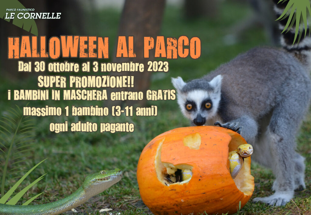 halloween lecornelle2023 Festa di Halloween al Parco Le Cornelle: un'avventura spaventosa per tutti i piccoli visitatori