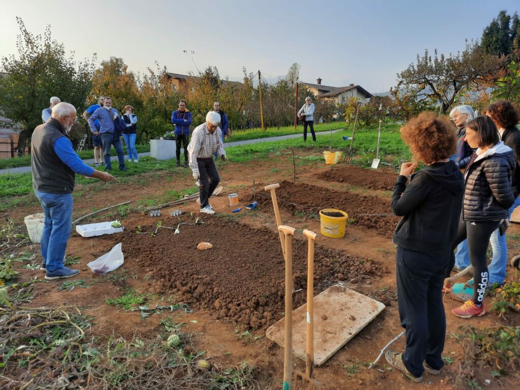orto biointensivo valgandino ORTO BIOINTENSIVO, IN VAL GANDINO UN CORSO SUL CAMPO