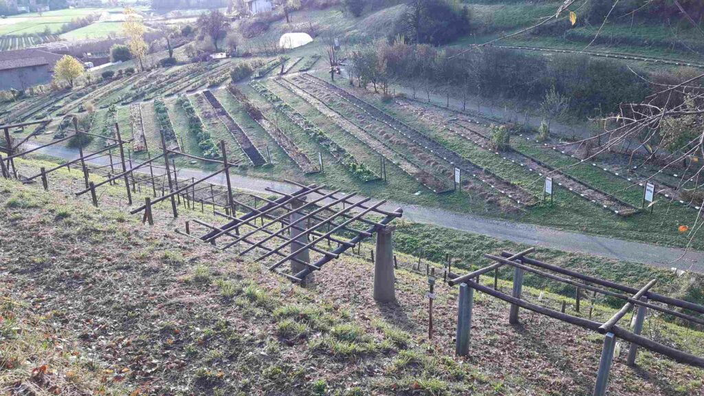 05. BERGAMO Vigneto biodiverso Rete orti botanici Lombardia: +21% di visitatori rispetto al 2022