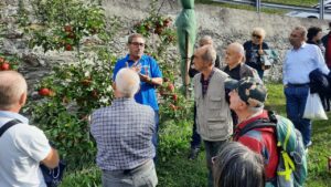 FRUTTICOLTURA, IN VAL BREMBANA ACQUISTO PIANTE IN FORMA ASSOCIATA