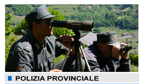 agenti in azione