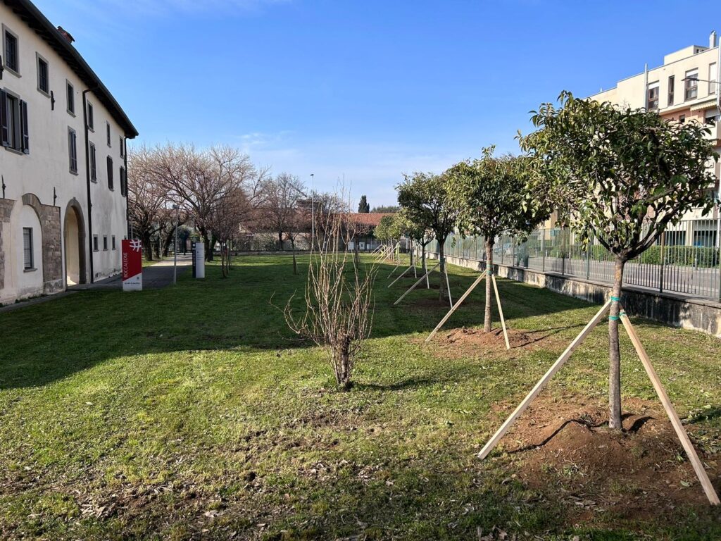 GLI ALBERI DI VIA BONO PIANTATI NEL PARCO DELLA BIBLIOTECA COMUNALE BETTY AMBIVERI