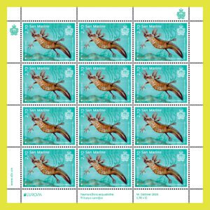 Flora e fauna acquatica nell’emissione della serie “Europa”