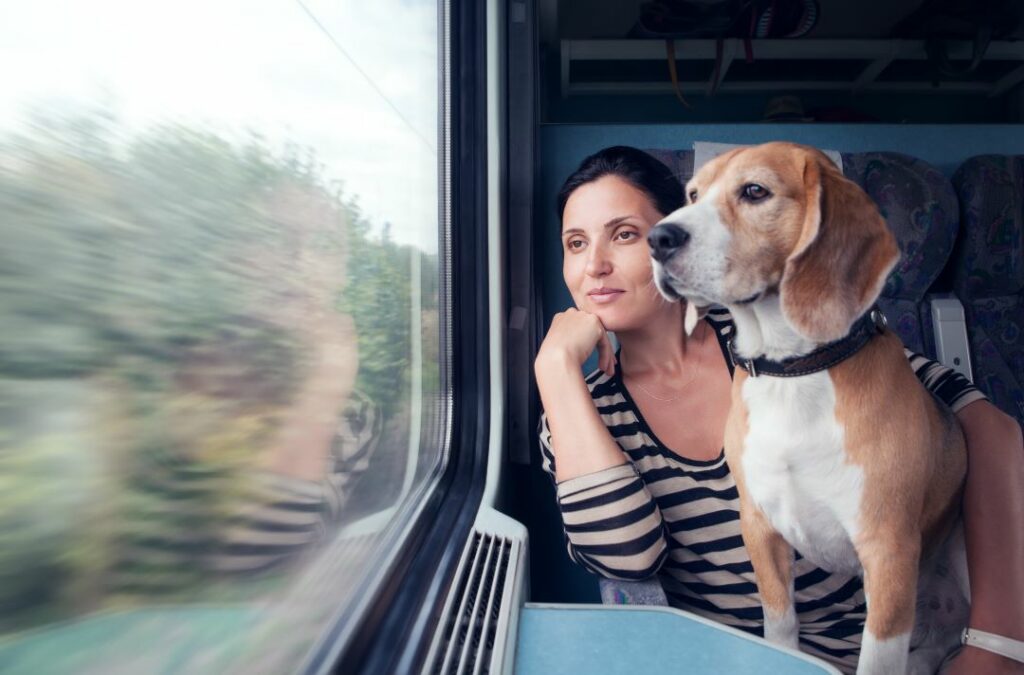 cani gratis treno cani gratis treno