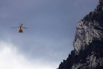 Taglia alberi nel bosco 64enne muore schiacciato nel Bergamasco