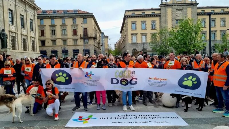 Corridog 2024 Decima edizione: un successo