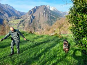 Segnalazione di bocconi avvelenati, interviene il cane antiveleno Sole