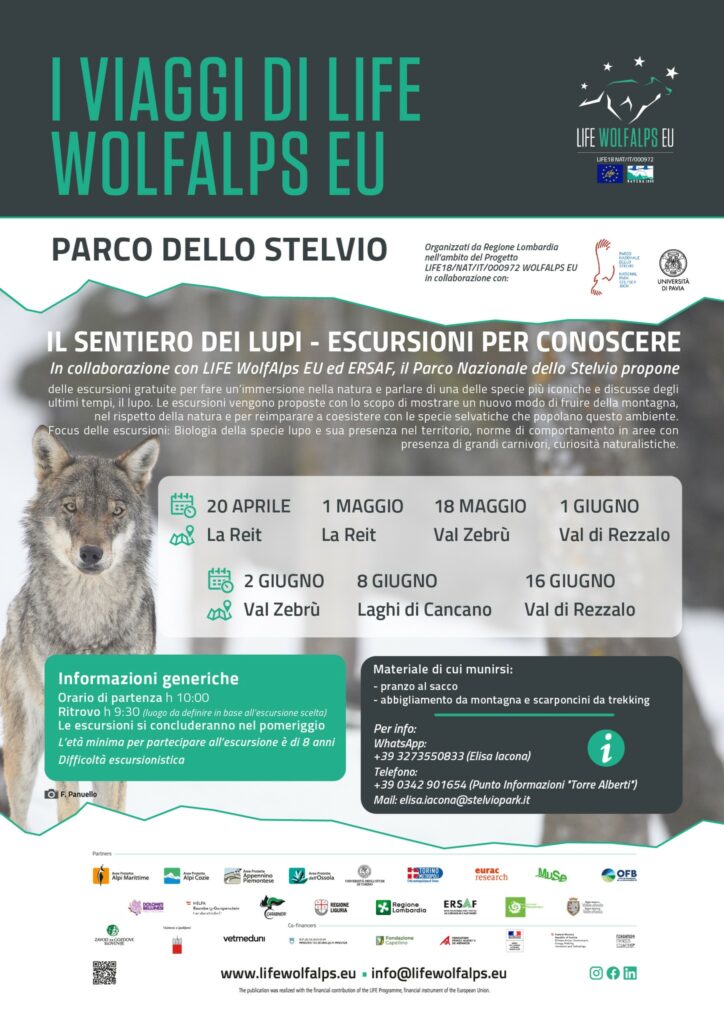 20 MAGGIO LUPI IN VALELCAMONICA