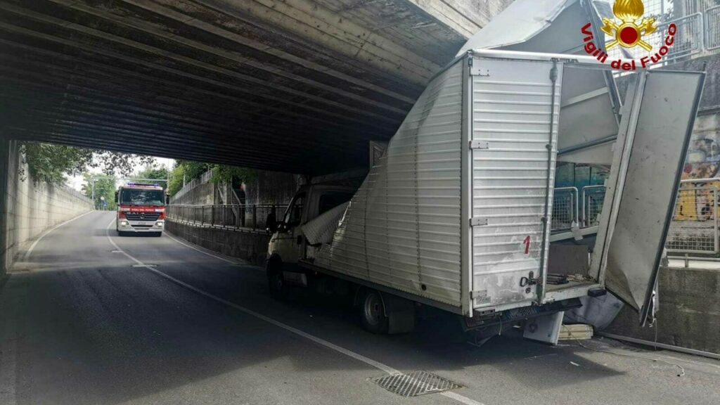 camion camion