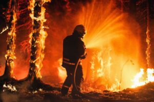 Assegnazione di contributi per l’organizzazione delle squadre antincendio boschivo