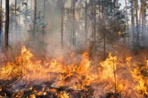 INCENDI