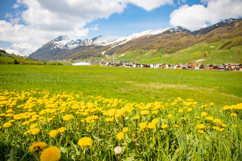 SLOW LIVING NELLA NATURA A LIVIGNO PER IL BENESSERE DI MENTE E CORPO