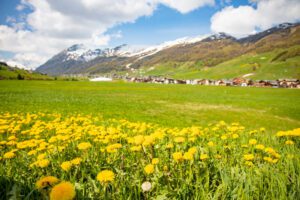 SLOW LIVING NELLA NATURA A LIVIGNO PER IL BENESSERE DI MENTE E CORPO