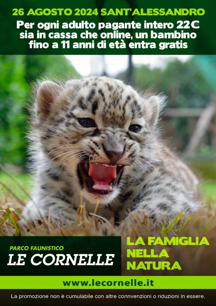 locandina locandina