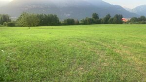 Pisogne e Legambiente contro la cementificazione del prato "Ex Giordani": lanciata petizione