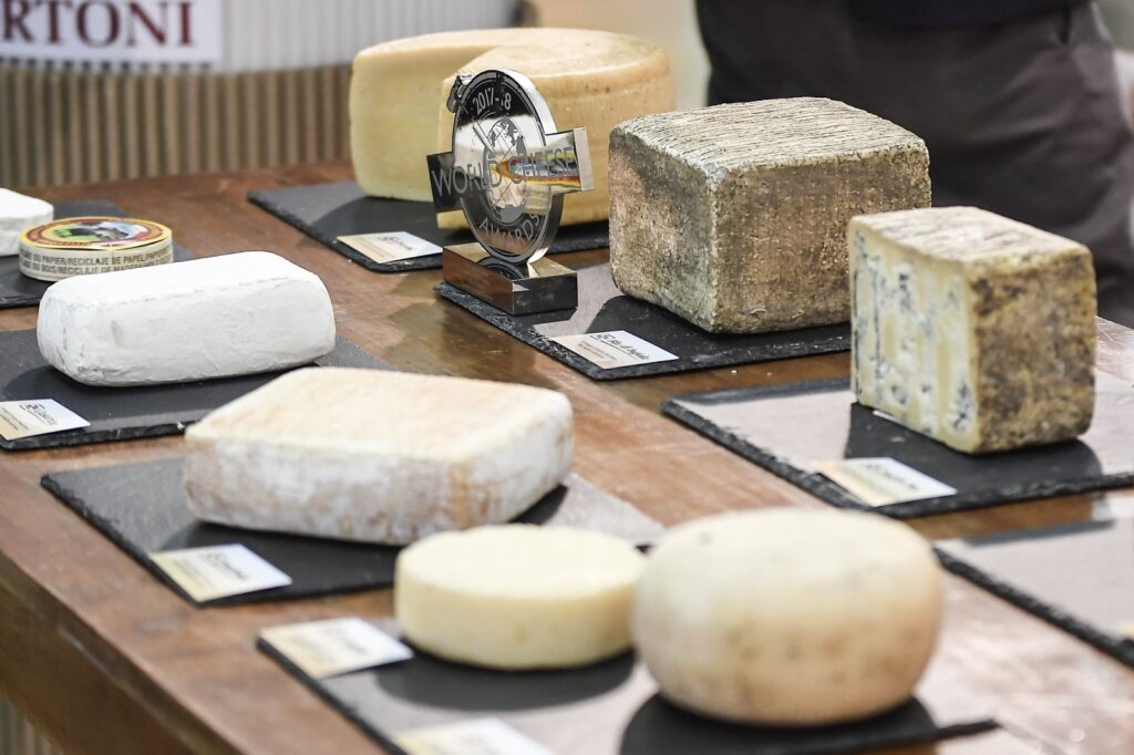 06 B2CHEESE RID M 06 B2CHEESE RID M