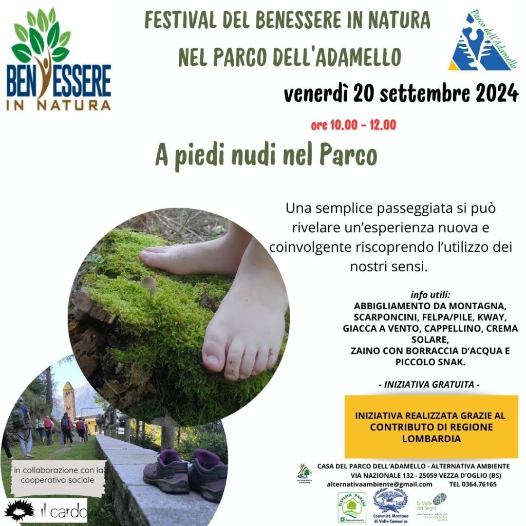 A PIEDI NUDI NEL PARCO A PIEDI NUDI NEL PARCO
