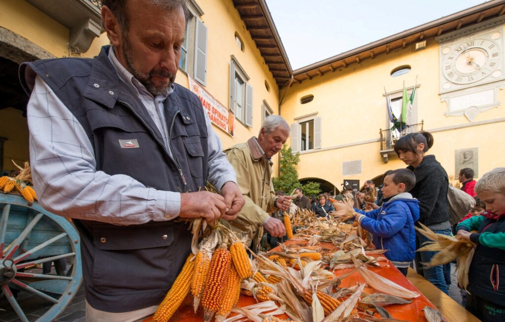 la scartocciatura in piazza delle pannocchie Val Gandino a tutto Spinato, tornano i Giorni del Melgotto