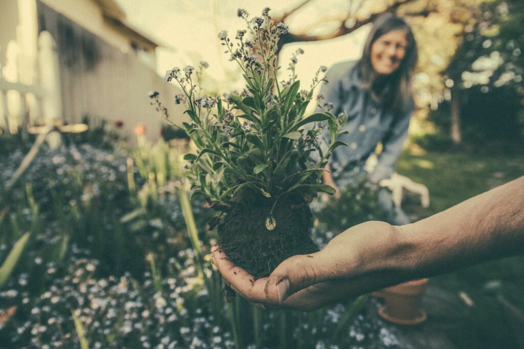 Donne e agricoltura Donne e agricoltura