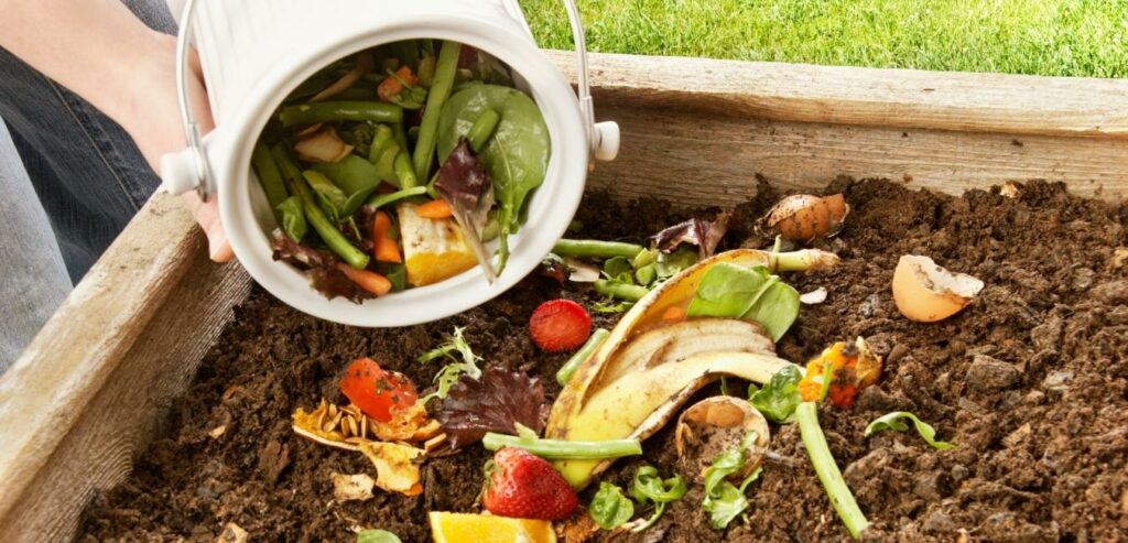 compost domestico compost domestico
