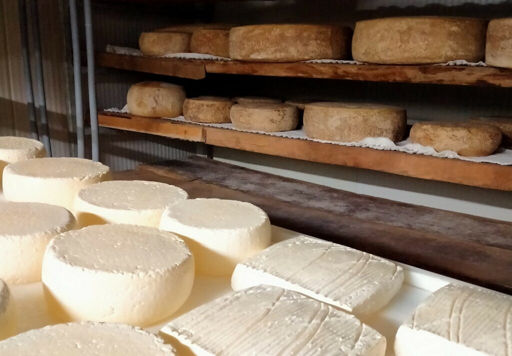 formaggi val gandino formaggi val gandino