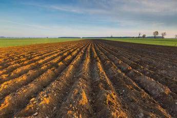 Ismea riparte Generazione Terra 120 mln per giovani agricoltori nel 2026