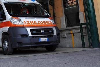 Pistoia nonna e nipotina aggredite da tre pitbull sono entrambe gravi Pistoia nonna e nipotina aggredite da tre pitbull sono entrambe gravi