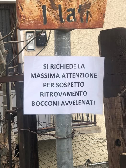 bocconi avvelenati ponte di legno bocconi avvelenati ponte di legno